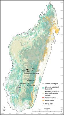 Grass Functional Traits Differentiate Forest and Savanna in the Madagascar Central Highlands